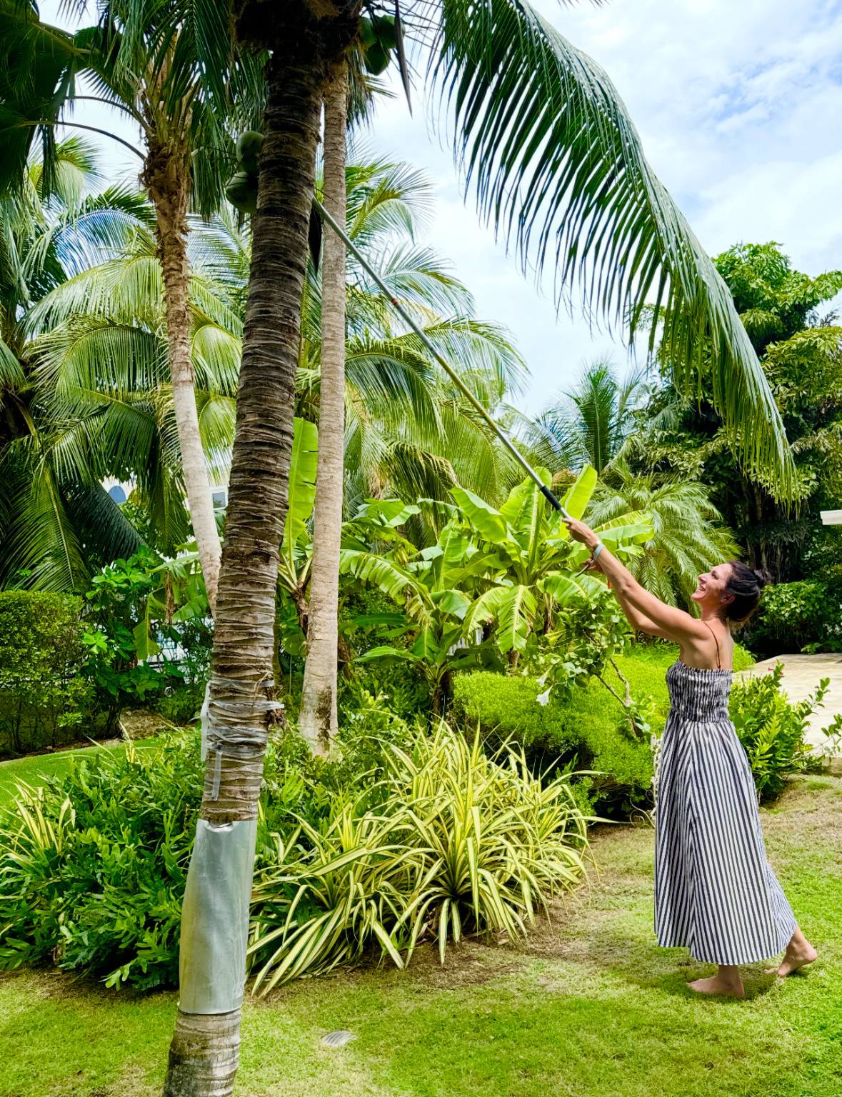 Sip from a fresh coconut under the sun, the true taste of tropical island life in Cayman.
