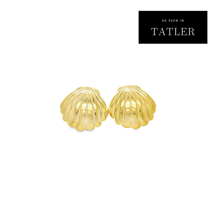 Gold shell earrings on white background