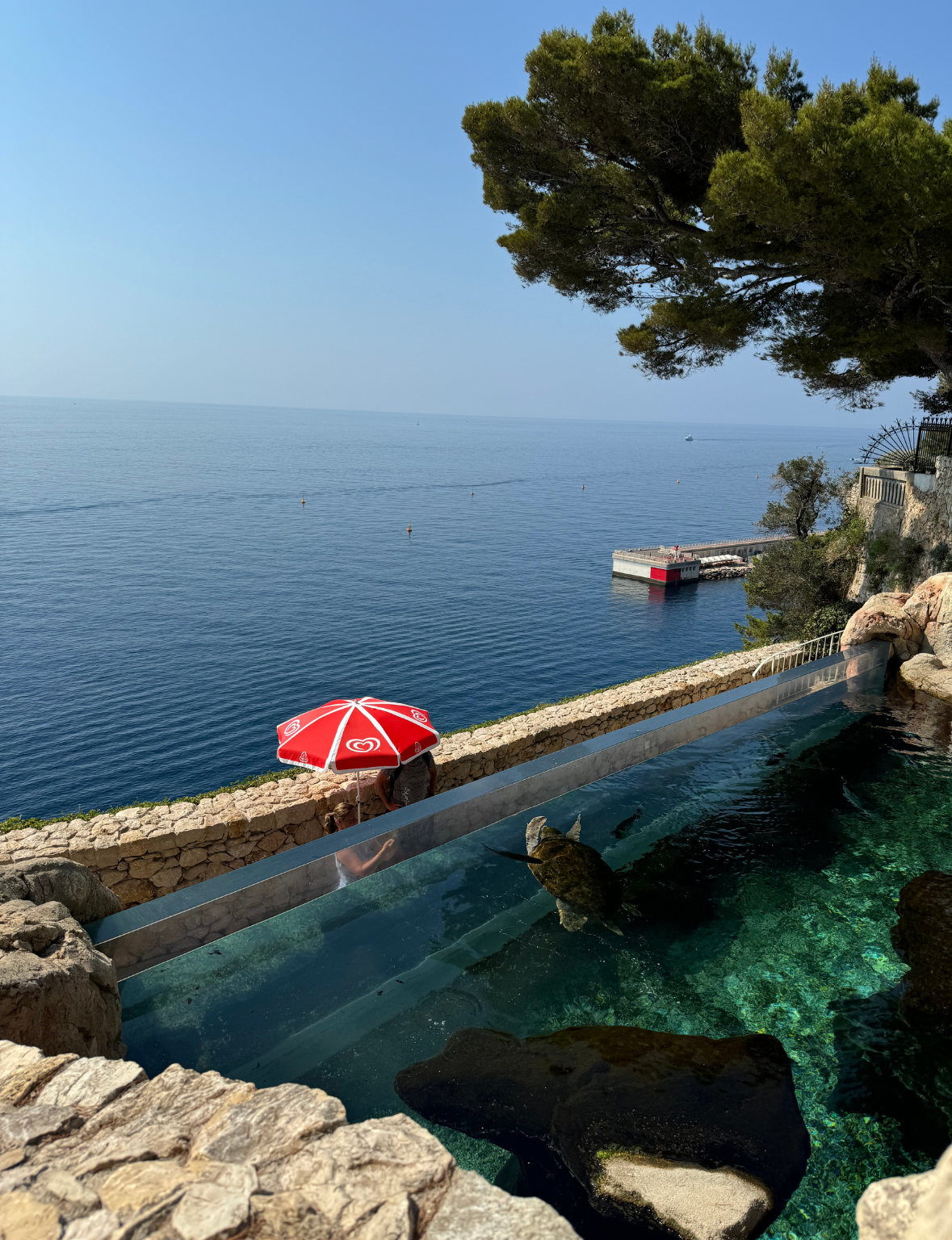 The Oceanographic Museum of Monaco perched on a cliff above the sea