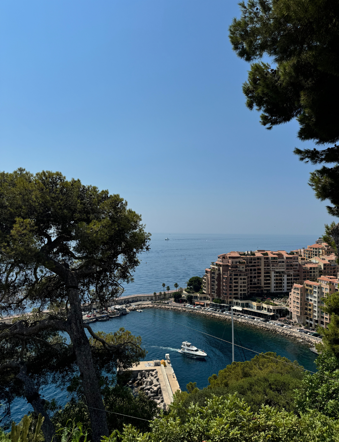 Yachts docked in Port Hercule, Monaco, with the city rising behind.