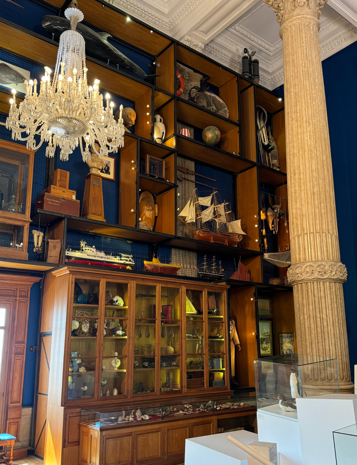 The Oceanographic Museum of Monaco display case of artifacts.