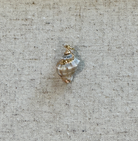 Meet Echo, a natural shell pendant that captures the quiet beauty of the sea in every curve. Thoughtfully designed to fit any Love, Ellison necklace, this ocean-inspired charm brings a subtle, earthy elegance to your everyday style. 