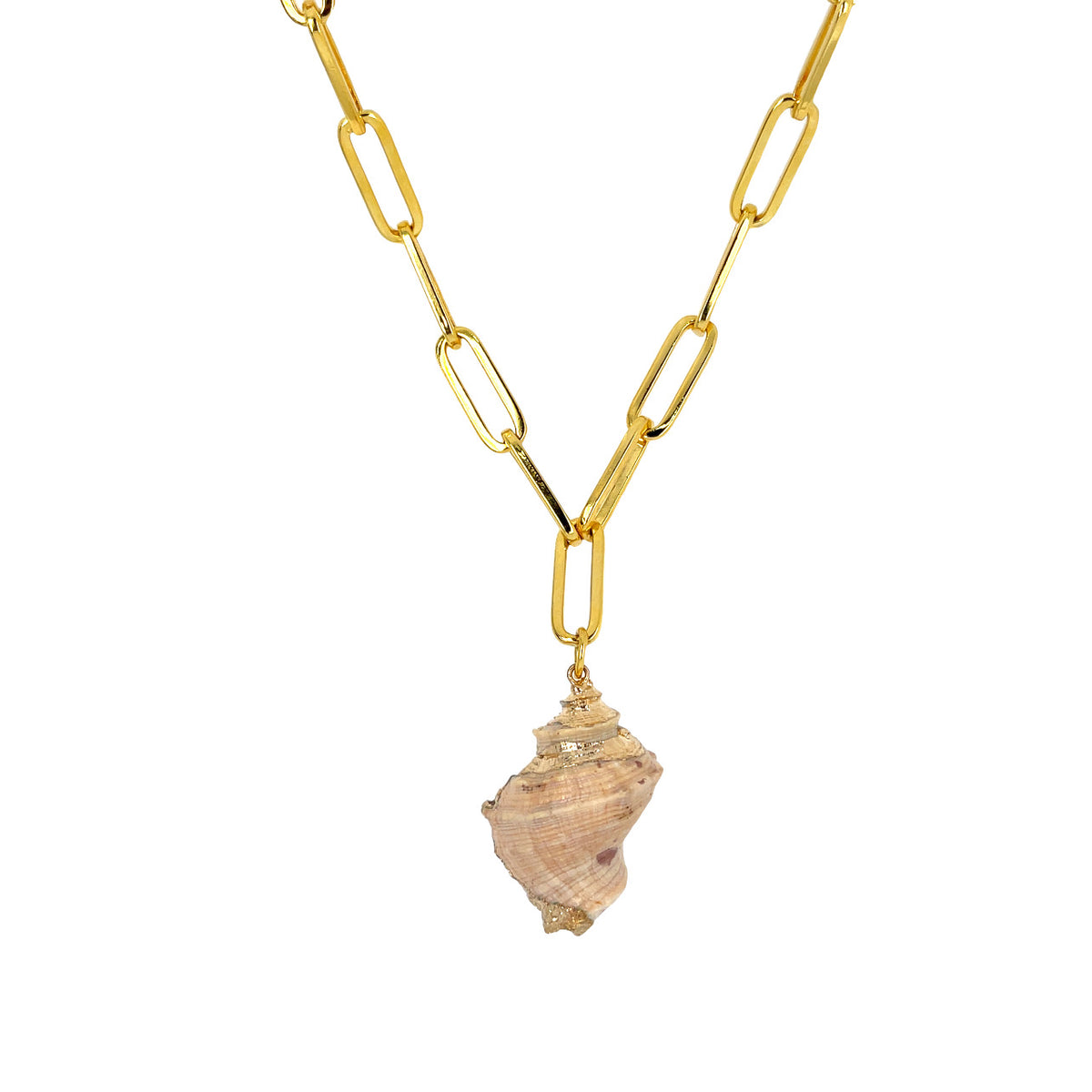 A gold finished link chain necklace with a seashell pendant.