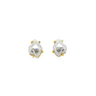 Gold-plated 1/2 inch stainless steel earrings featuring a classic pearl accent – timeless design for women’s jewelry.