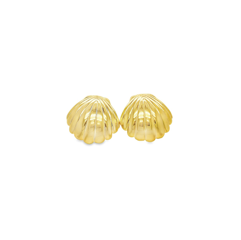 Gold shell-shaped earrings on a white background
