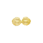 Gold shell-shaped earrings on a white background