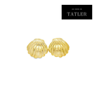 Gold shell earrings on white background