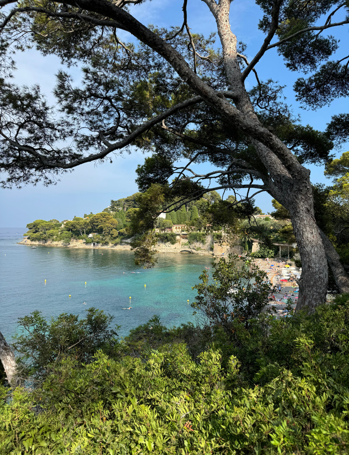 Turquoise water and beach loungers at Paloma Beach on the French Riviera"