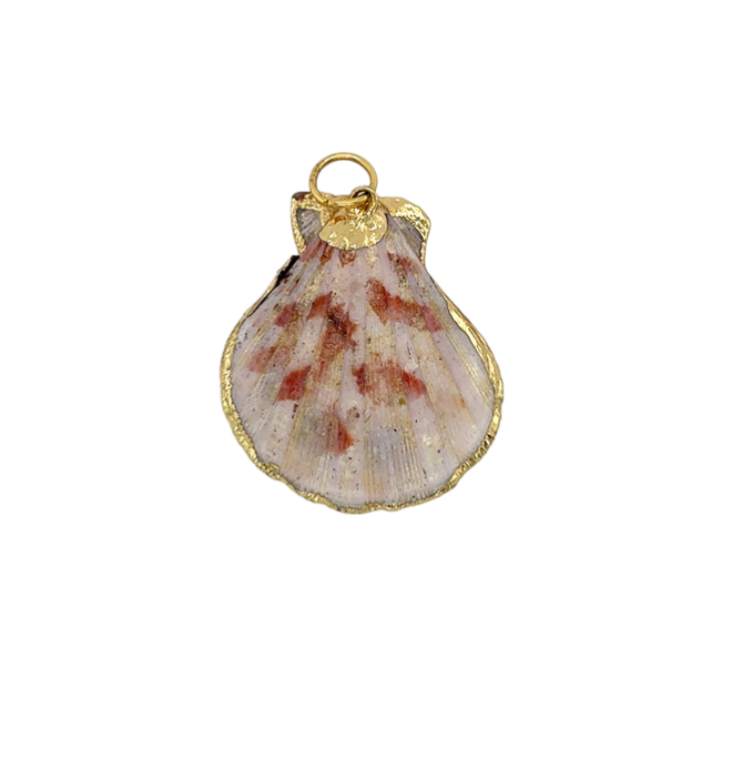 Shell pendant with gold edge on a white background