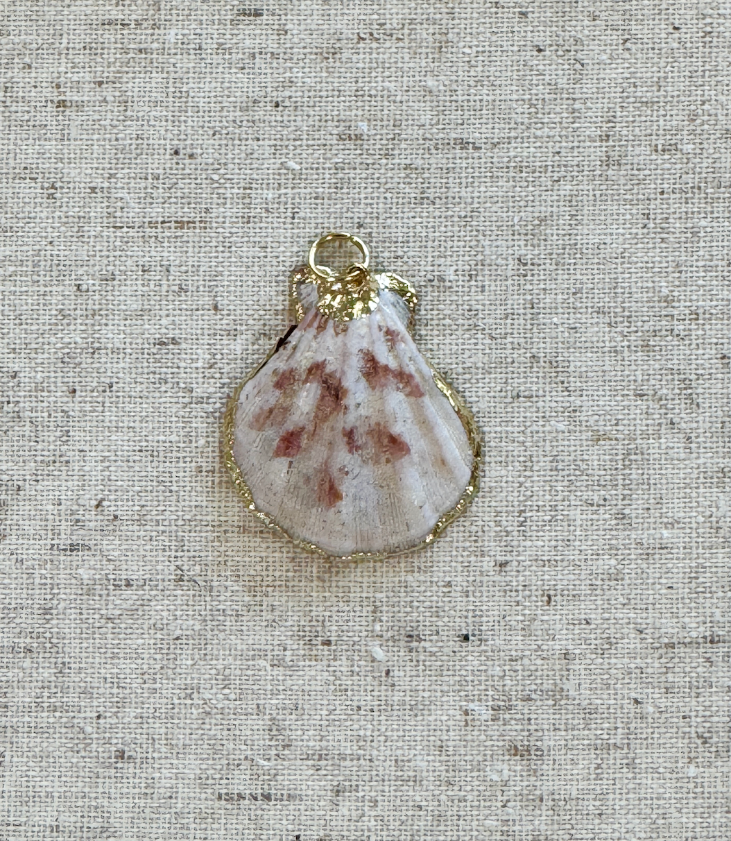Shell pendant with gold trim on a textured beige background