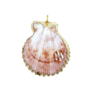 Shell pendant with gold trim on a white background
