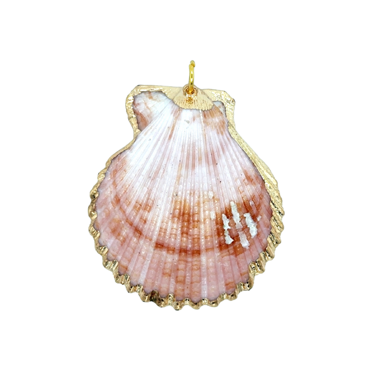 Shell pendant with gold trim on a white background