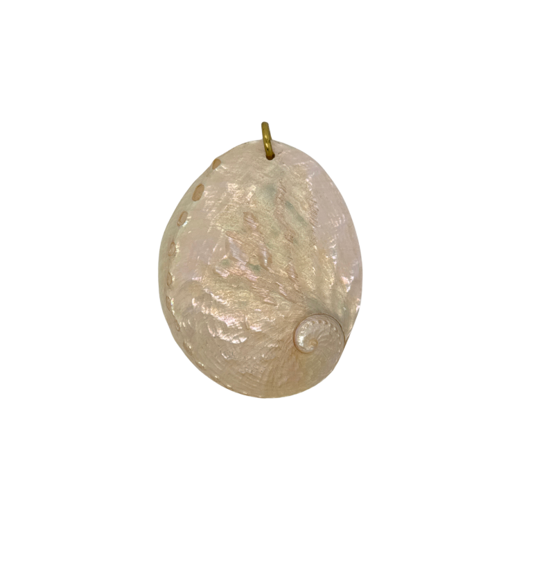 A versatile essential, this abalone shell pendant embodies the ocean’s beauty