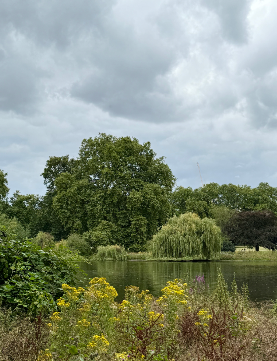 Breathe in the calm of St. James’s Park, a serene escape with royal views and graceful pelicans.