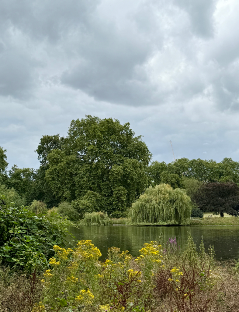 Breathe in the calm of St. James’s Park, a serene escape with royal views and graceful pelicans.