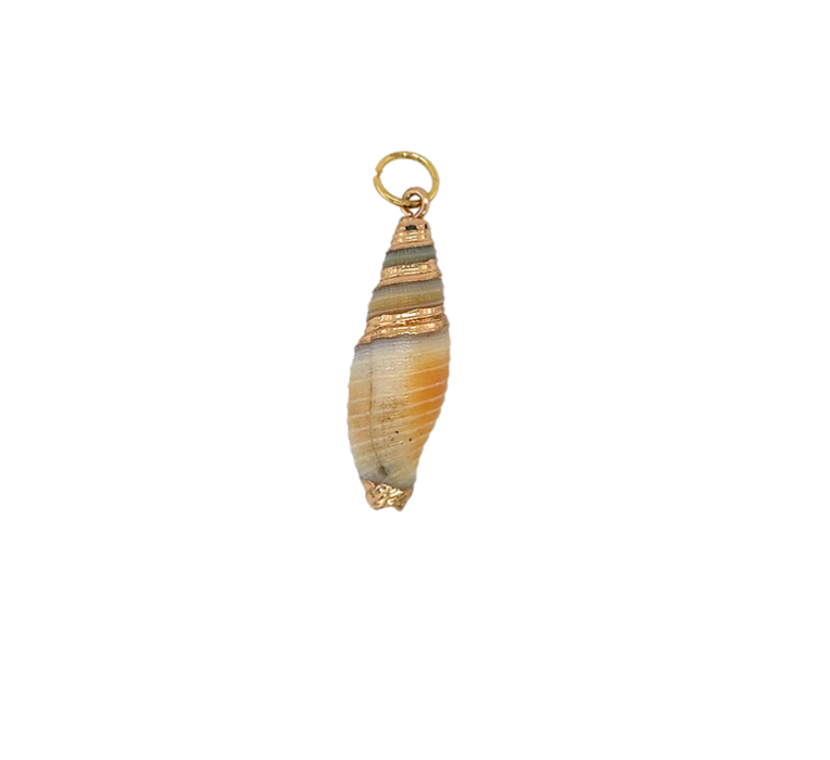 Shell pendant with gold accents on a white background
