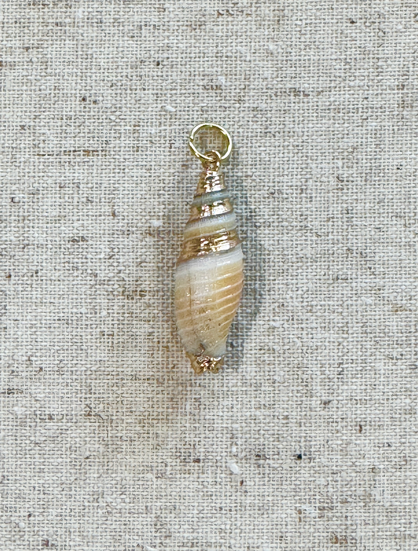 Shell-shaped pendant with a gold chain on a textured beige background