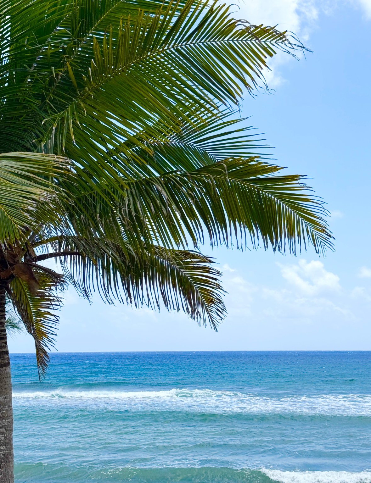 Bask in the beauty of the Cayman Islands' crystal-clear, turquoise waters—perfect for snorkeling and relaxing.
